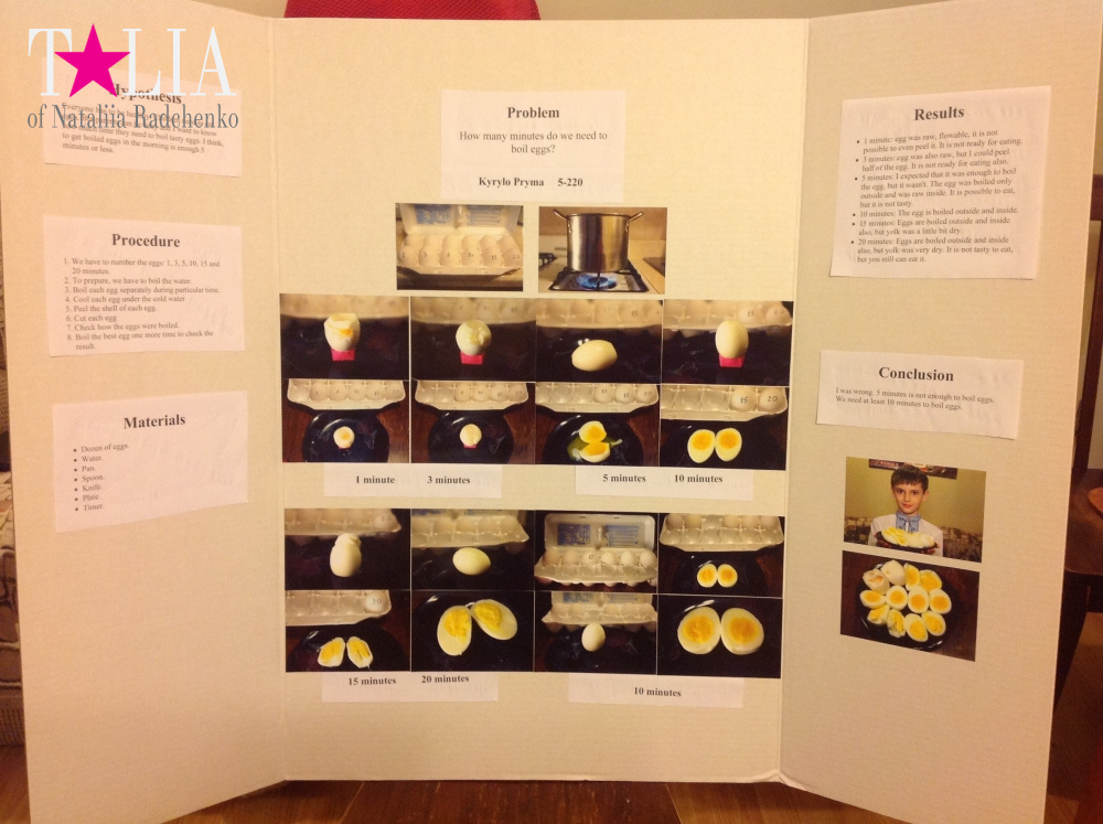 Американская школа - делаем проджекты!